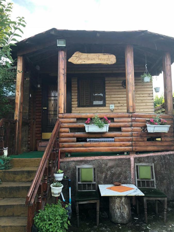 Angelinin Konak Negotin Kültér fotó